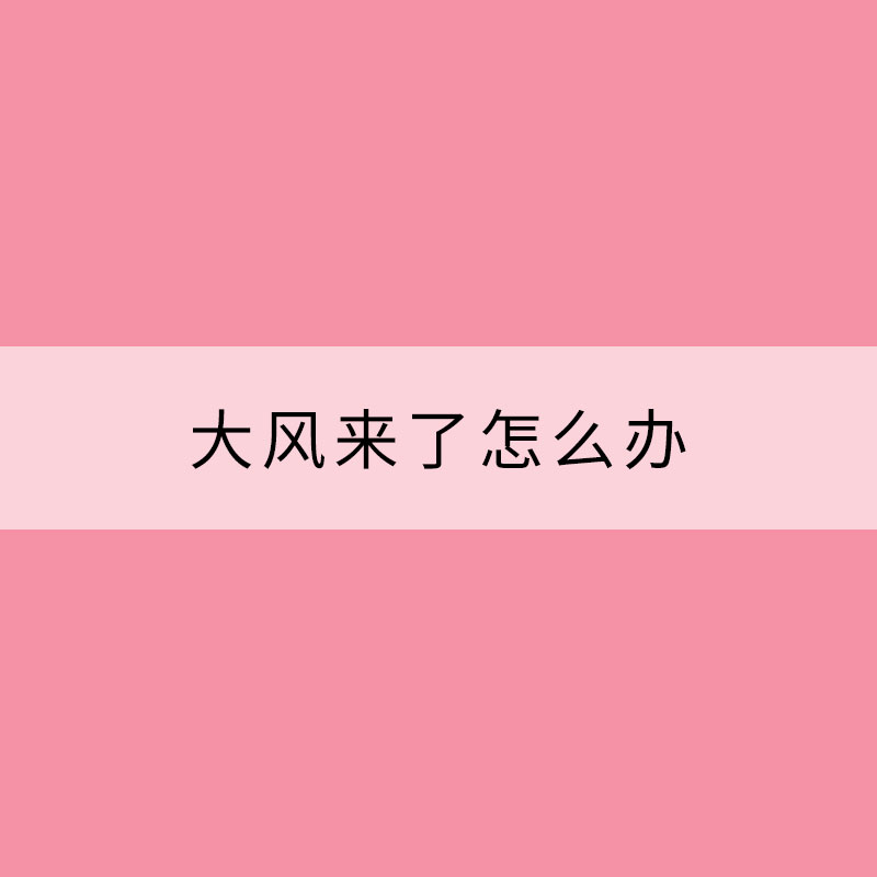 大風(fēng)來(lái)了怎么辦